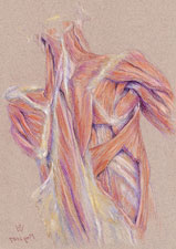 Drawing the Bow (back)