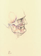 Muscles of Disgust