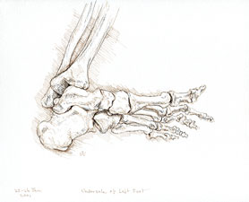 Sole of Left Foot