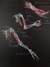 Lifting Board...