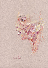 facial-muscles-expression-parotid-gland-left-profile-2006-1