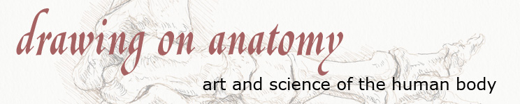 Drawing on anatomy: Gallery