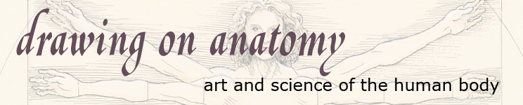 Drawing on anatomy - homepage