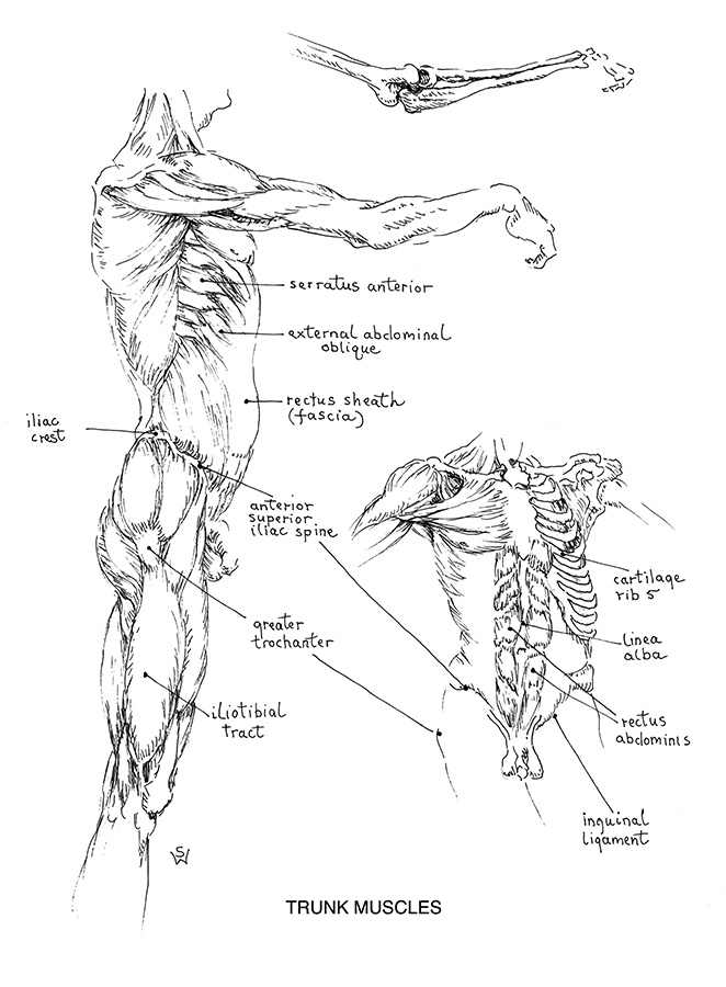 tutorial_fig10_big