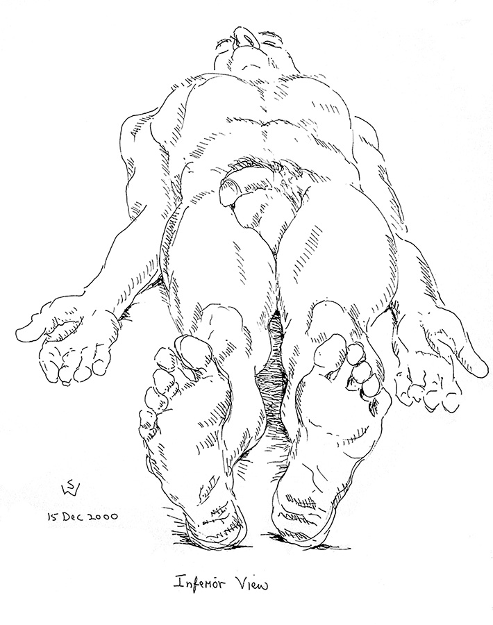 tutorial_fig1_big