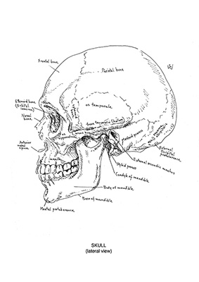 tutorial_fig4