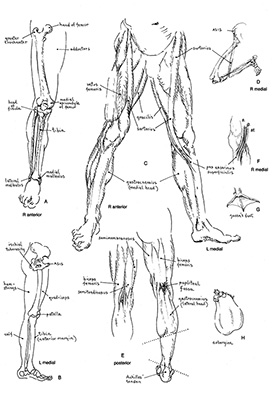 tutorial_fig5