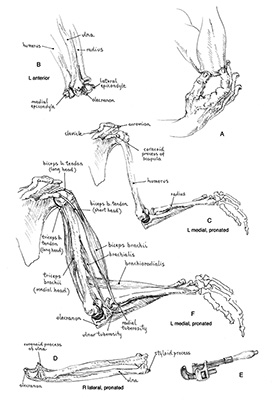 tutorial_fig6