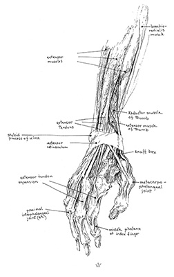 tutorial_fig8
